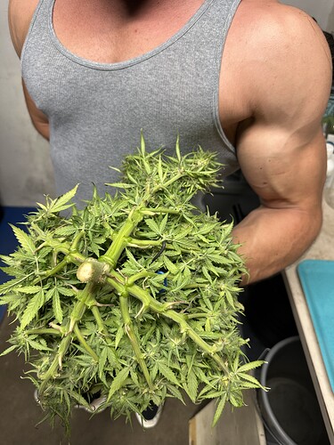 Growreport Bild 89