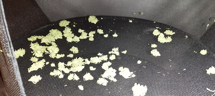 Growreport Bild 5