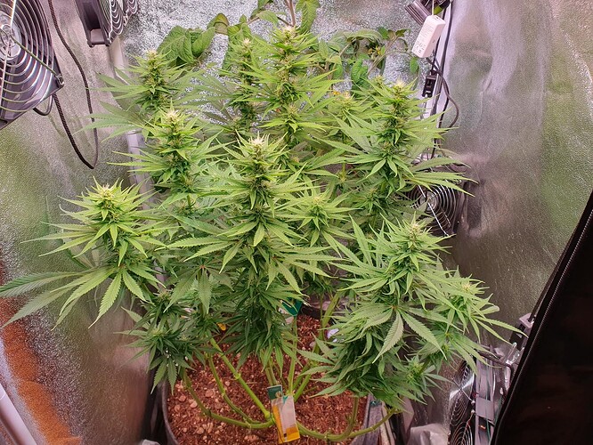 Growreport Bild 6