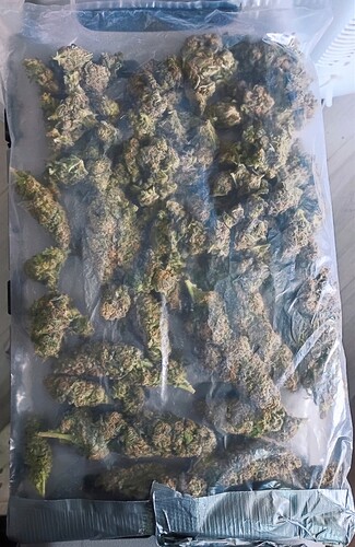 Growreport Bild 4