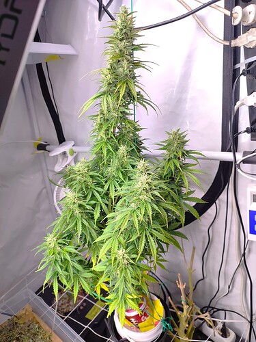Growreport Bild 9