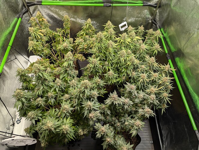 Growreport Bild 10