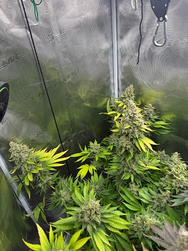 Growreport Bild 21