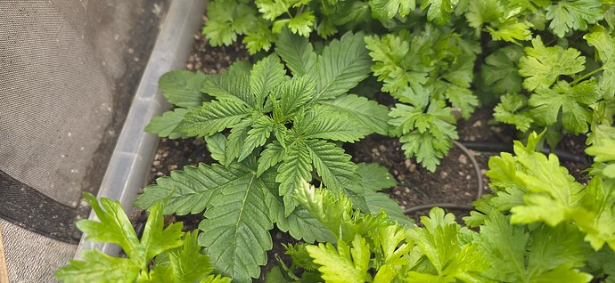 Growreport Bild 12
