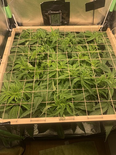 Growreport Bild 22
