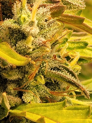 Growreport Bild 16