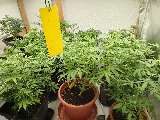 Growreport Bild 17