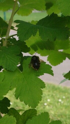 DSC_0000_BURST20240509164754958