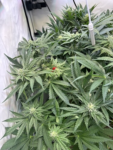 Growreport Bild 11