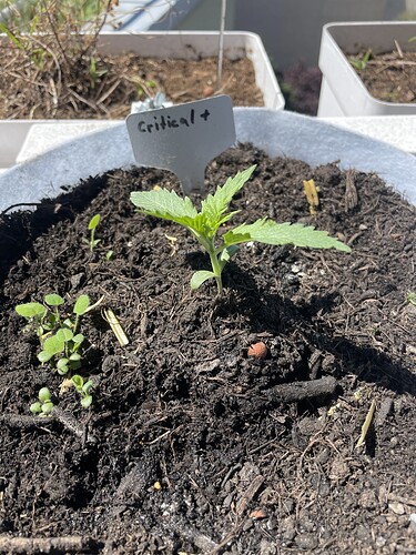 Growreport Bild 21