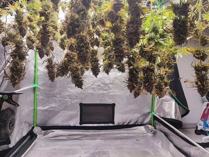 Growreport Bild 137