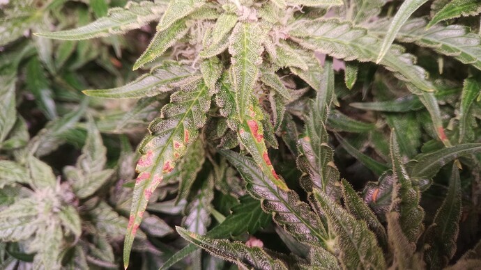 Growreport Bild 12