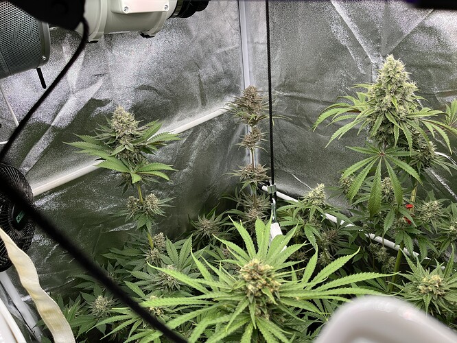 Growreport Bild 9