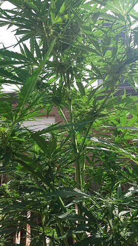 Growreport Bild 10