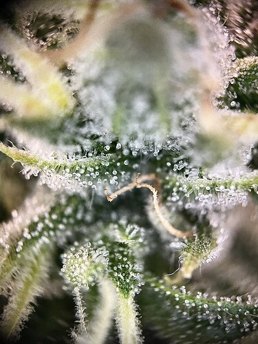 Growreport Bild 19