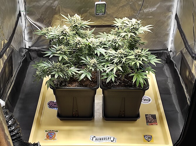 1778162028233