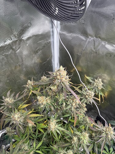 Growreport Bild 16