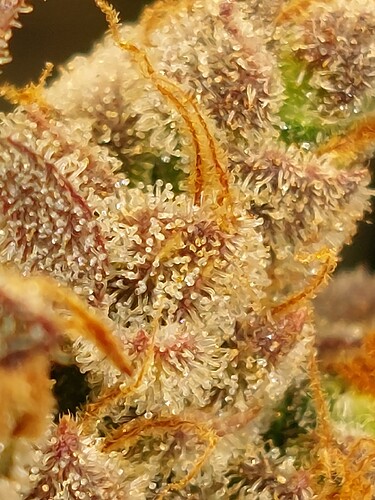 Growreport Bild 22