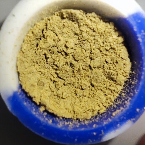 Growreport Bild 5