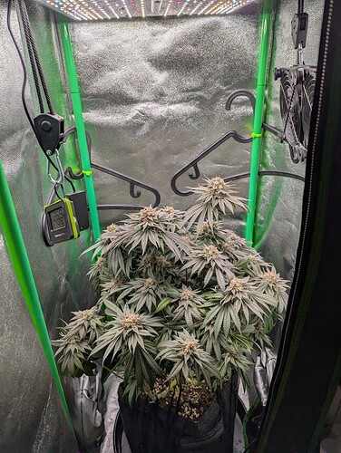 Growreport Bild 5