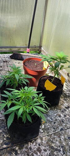 Growreport Bild 10