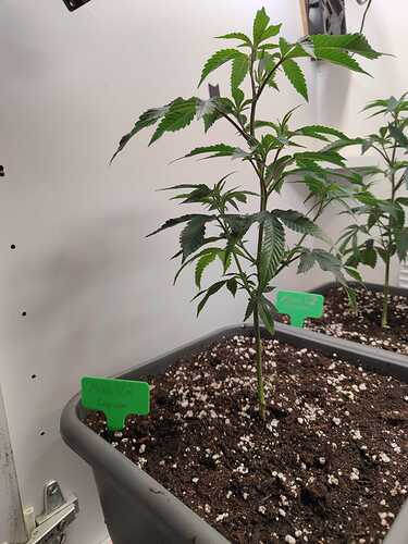 WhatsApp Image 2024-05-25 at 19.50.44 (2)