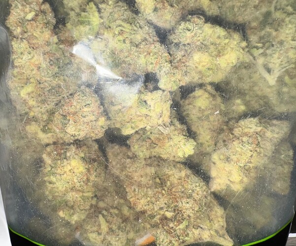 Growreport Bild 65