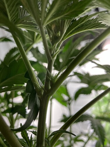Growreport Bild 4