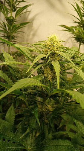 Growreport Bild 24