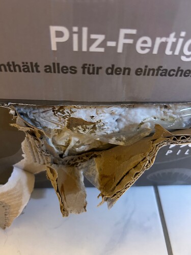 Growreport Bild 53