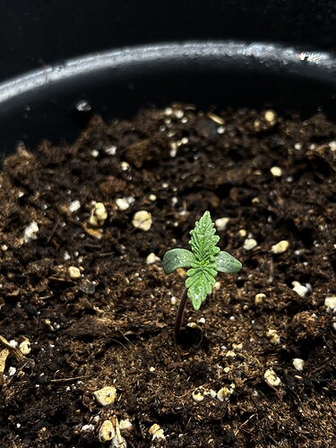 Growreport Bild 8