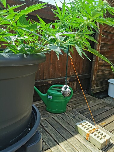Growreport Bild 16