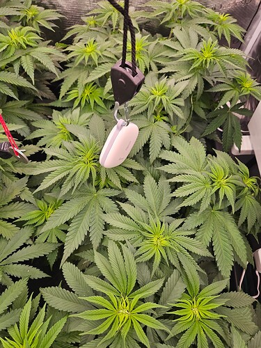 Growreport Bild 2