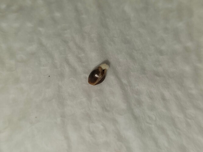 Growreport Bild 1