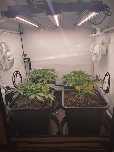 Growreport Bild 12