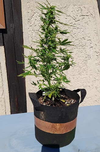 Growreport Bild 18