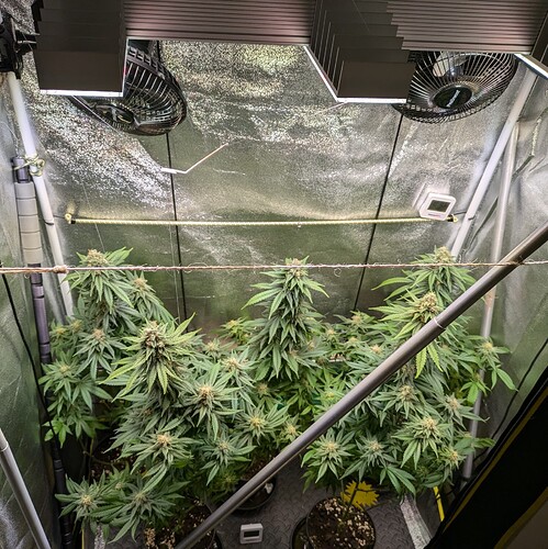 Growreport Bild 13