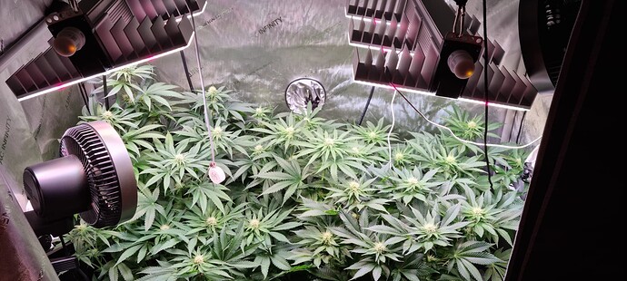 Growreport Bild 1