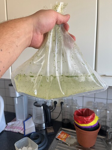 Growreport Bild 7