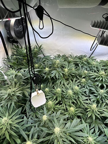 Growreport Bild 36