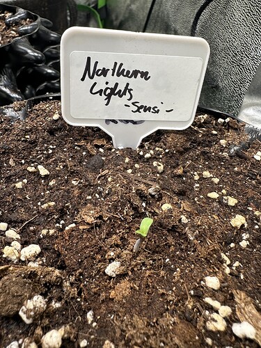 Growreport Bild 8
