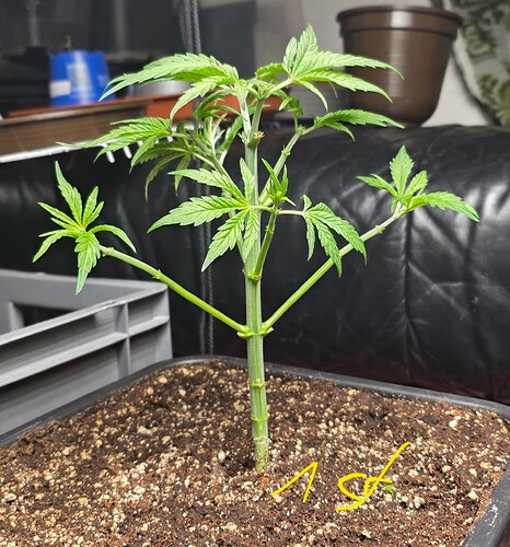 Growreport Bild 12