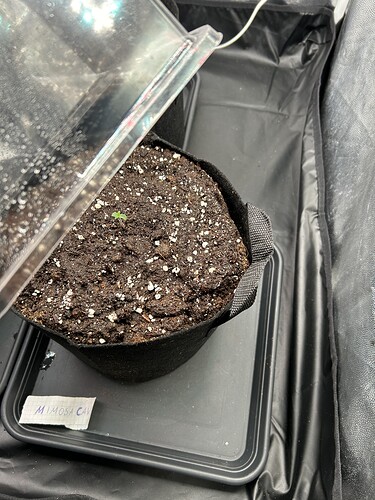 Growreport Bild 8
