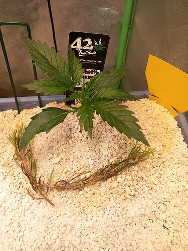 Growreport Bild 14