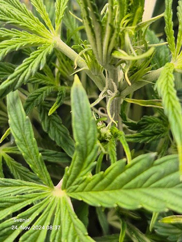 Growreport Bild 10