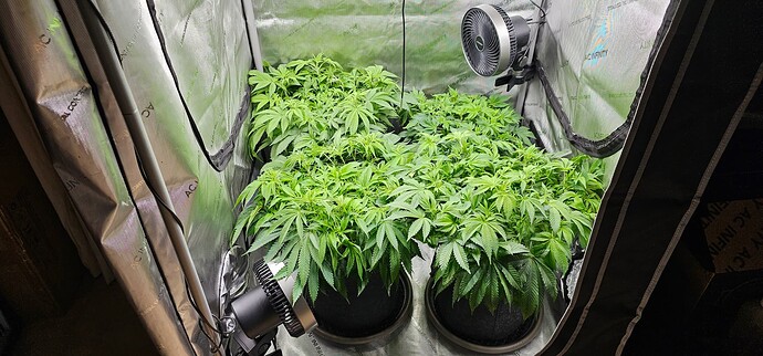 Growreport Bild 31