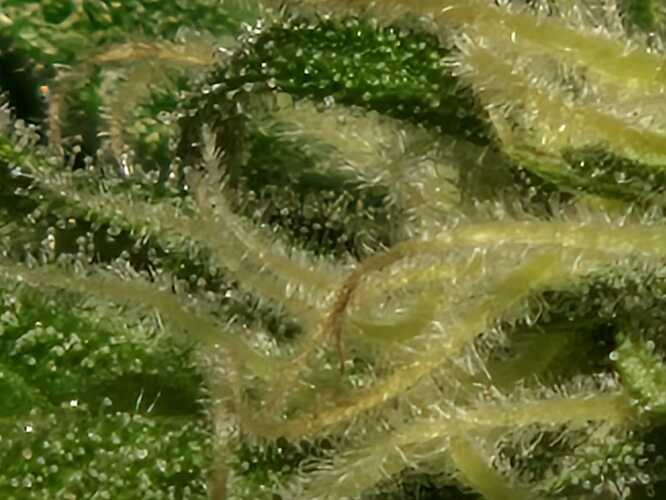 WhatsApp Image 2024-05-24 at 16.08.18 (2)