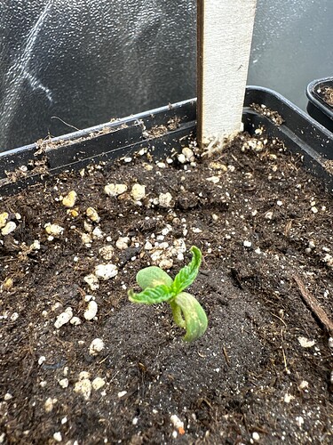 Growreport Bild 14