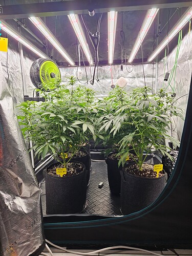Growreport Bild 7