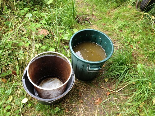Growreport Bild 21